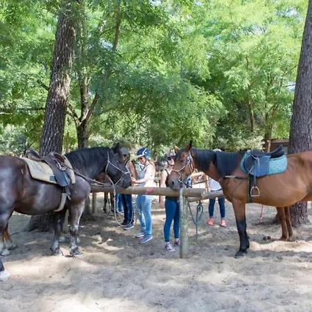 Officiel Siblu La Pignade 4*