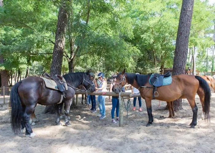 Officiel Siblu La Pignade 4*