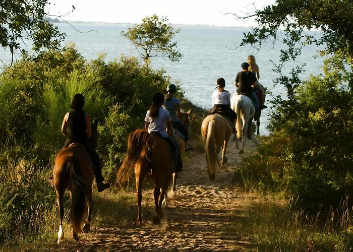 Officiel Siblu La Pignade 4* Ronce-les-Bains